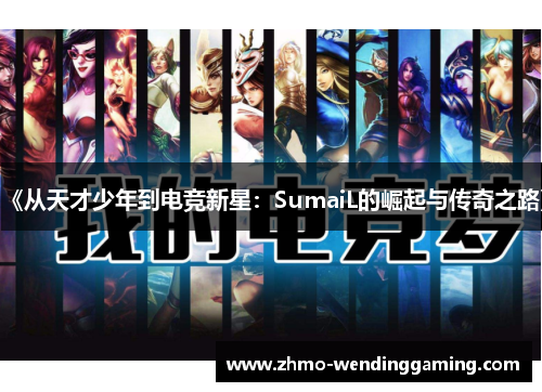 《从天才少年到电竞新星：SumaiL的崛起与传奇之路》